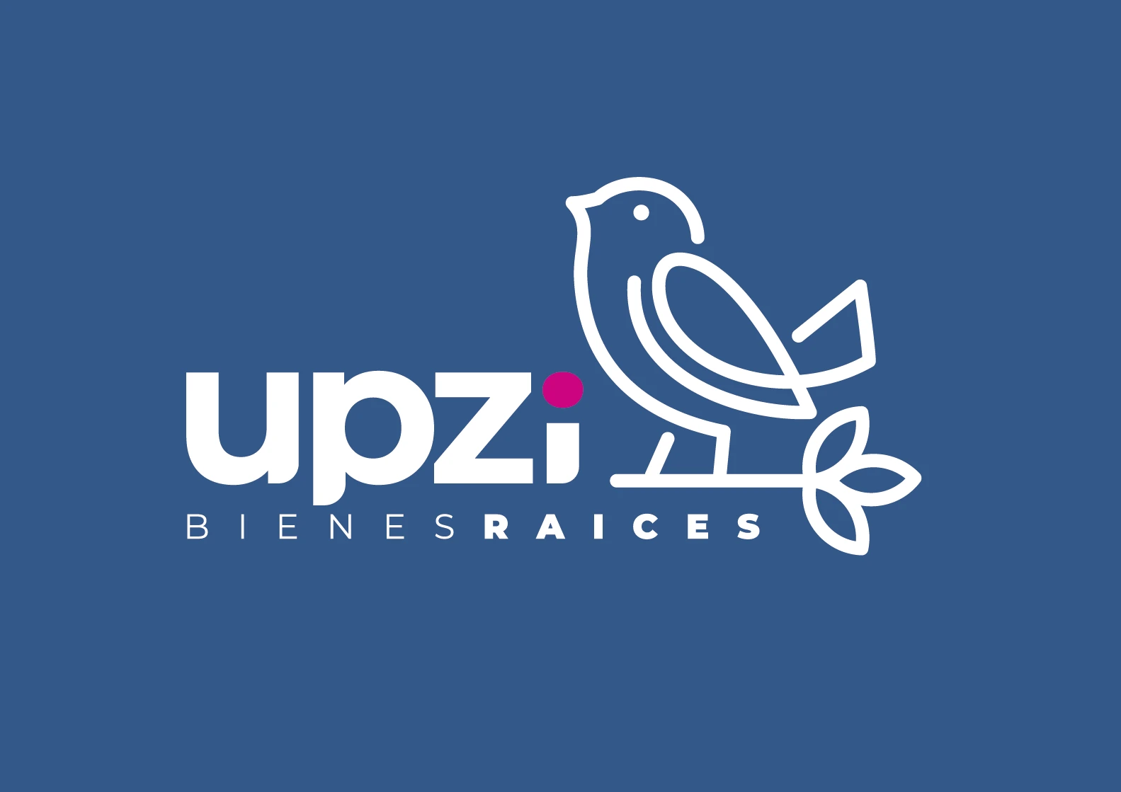 upzi.mx